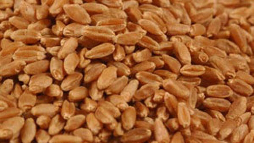 Najslabija žetva od osamostaljenja Hrvatske