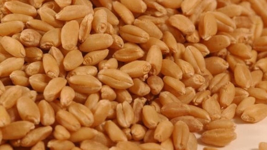 Ništa od obećanja ministra Čobankovića