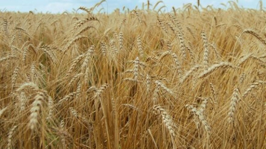 Ratari u posjed zemlje i bez dozvole Ministarstva