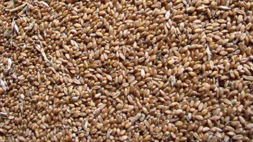 Teško stanje u Đakovštini d.d.