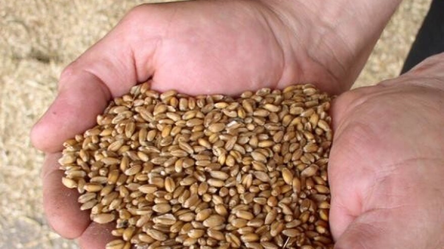 Bankrot u Đakovštini d.d.