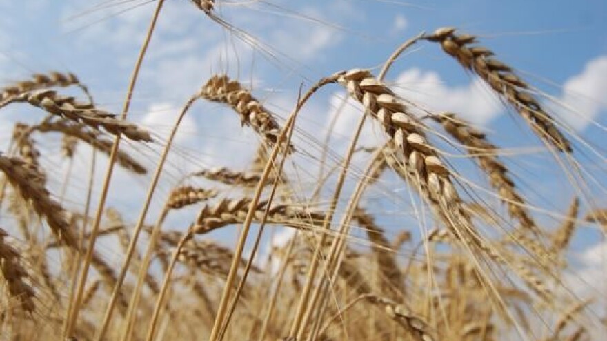 Sastanak s Čobankovićem