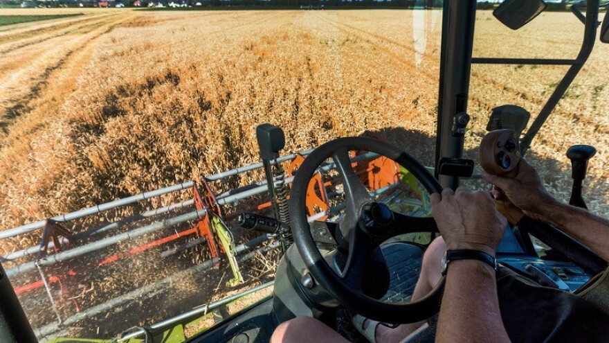 Hoće li padati proizvodnja pšenice iduće sezone?
