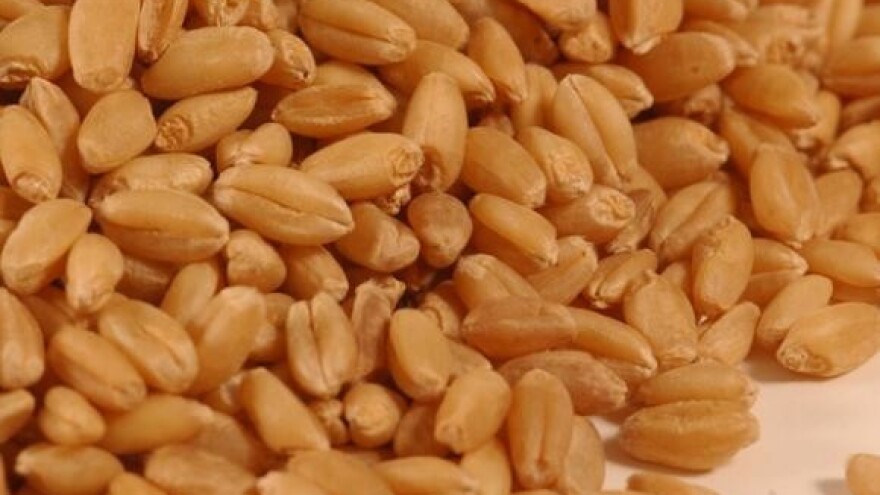 Nadoknada : žito iz Robnih zaliha