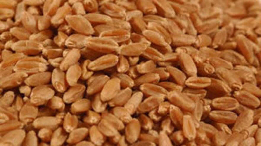 Ukradeno 26 tisuća tona žita