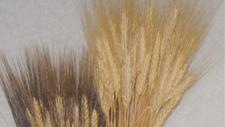 Roba je fakturirana, ali nije plaćena