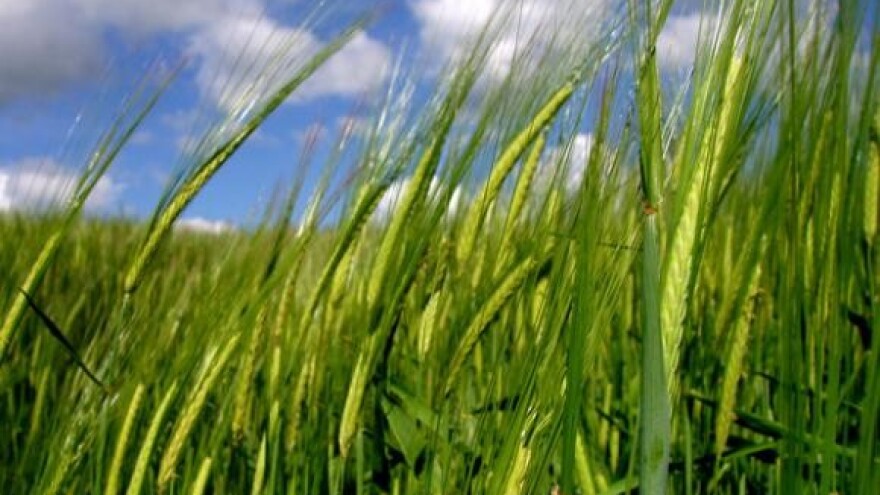 Šokirani ratari najavili prosvjed