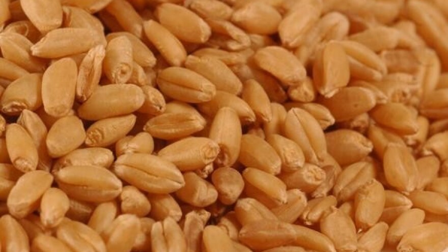 Dovršava se obeštećenje poljoprivrednika