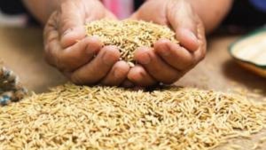 Godina prosječnih prinosa i niskih cijena