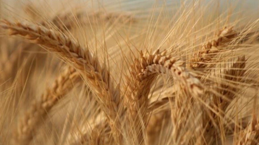 Prodaja Đakovštine u tri cjeline