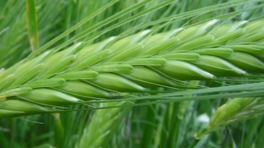 Okrugli stol o stanju poljoprivrede u Osijeku