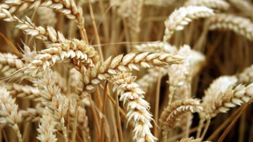 IPK Osijek ne ide u stečaj