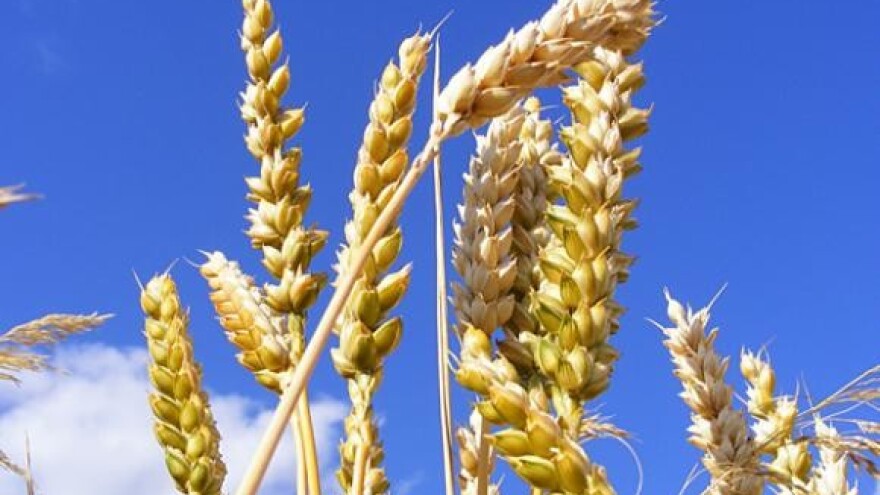 Ratari vrše pritisak na državu