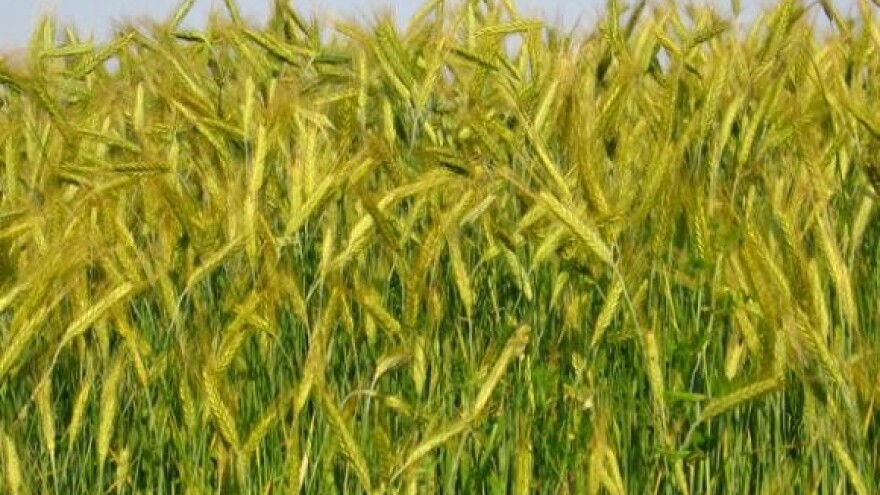 Štete od kiša više od 200 milijuna kuna