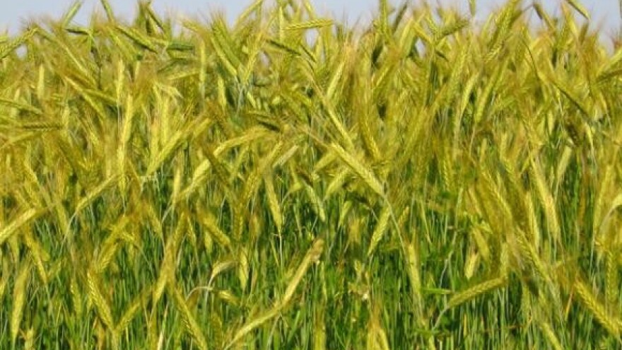 Razgovor s ministrom poljoprivrede