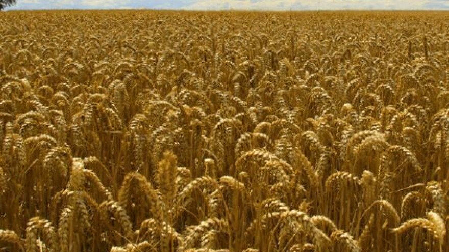 Koordinacija poljoprivrednika danas pred Ministarstvom