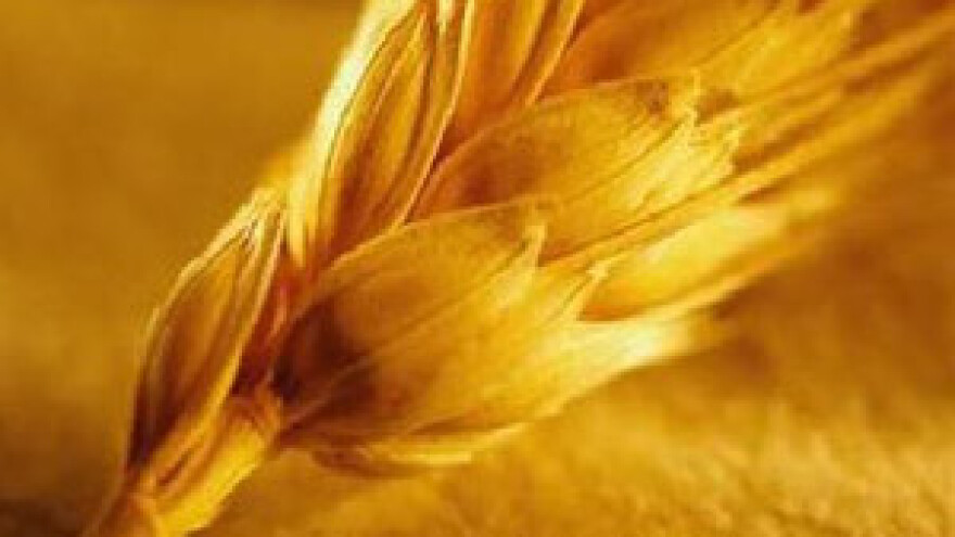 Poljoprivrednici traže rebalans i novac