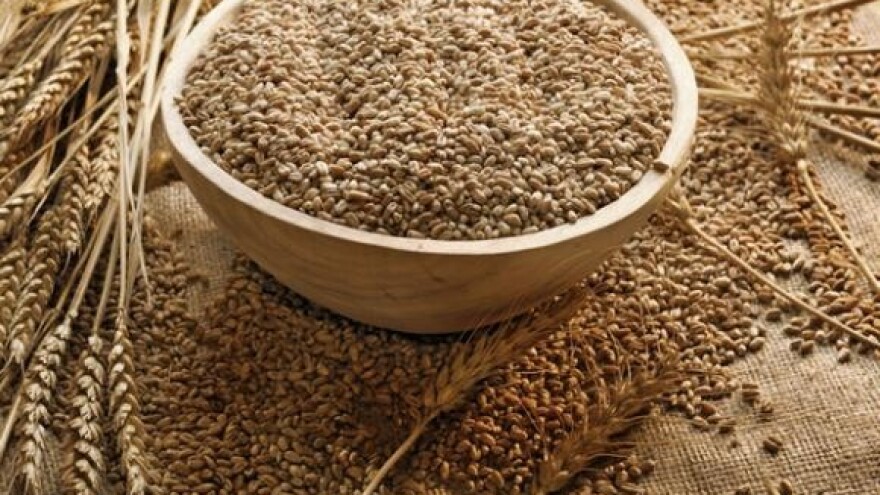 Cijena pšenice viša i od 1,20 kuna?!