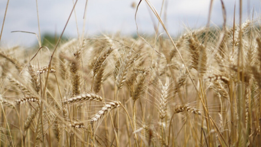 Izvoz proizvoda nadmašio izvoz oružja