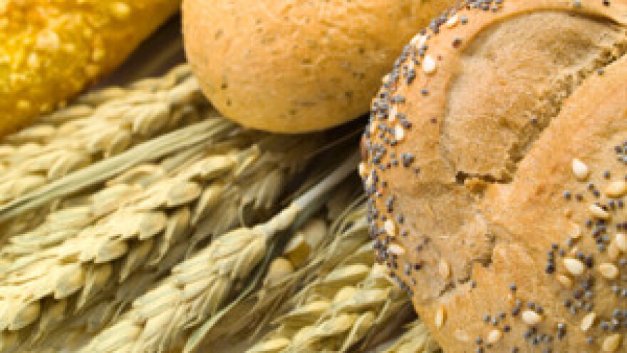 Kvaliteta ovogodišnje pšenice kao i lanjska