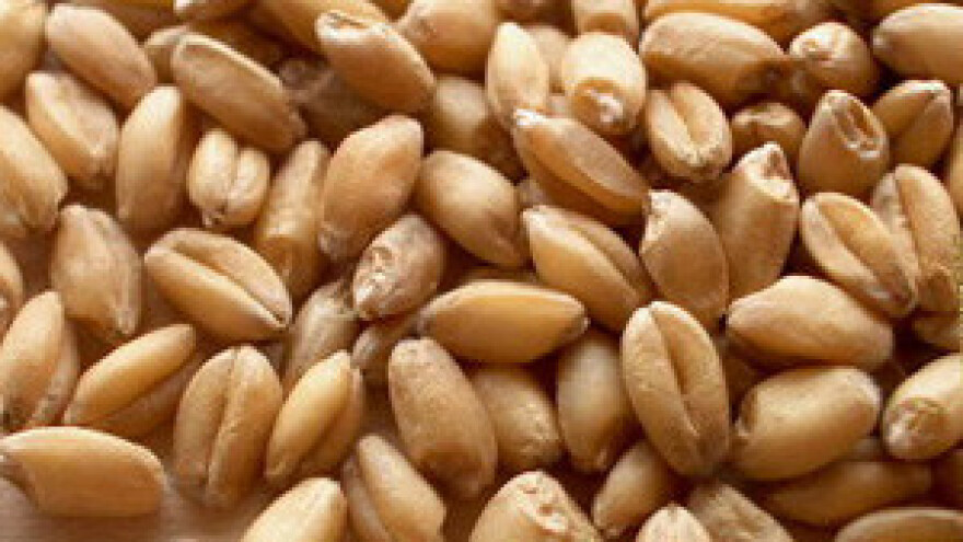 Skače cijena pšenice