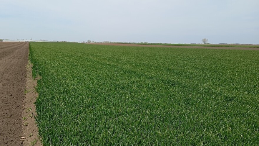 RHMZ izdao upozorenje za naredne dane: Nestabilno, uz pljuskove i grad