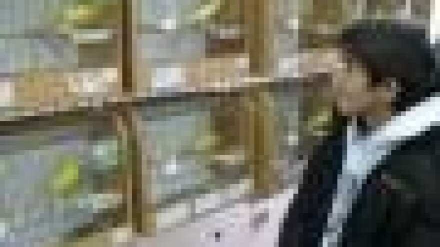 Ornitološko prvenstvo