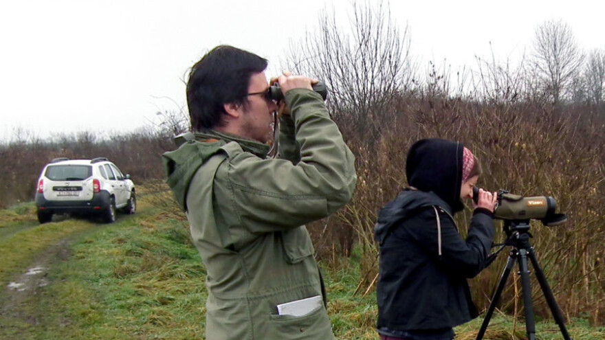 Manje ptica močvarica na Lonjskom polju