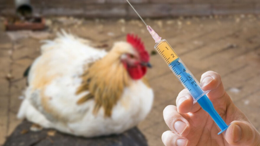 Ptičja gripa na još pet gospodarstava u Vinkovcima