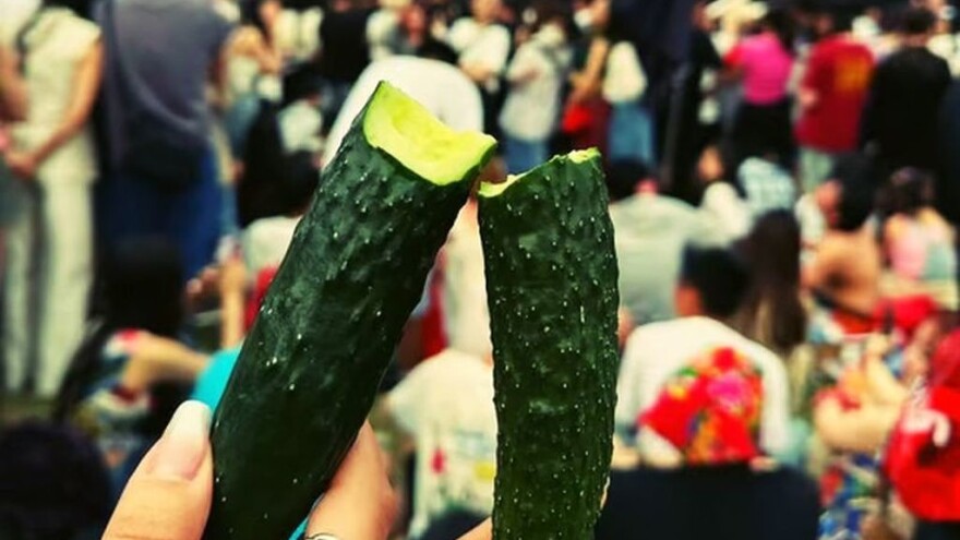 Umesto bočice vode, nose se krastavci