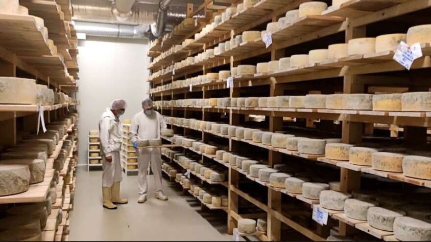 Iz srca Dalmatinske zagore stižu sirevi sa samoniklim vrstama lijekovitog bilja