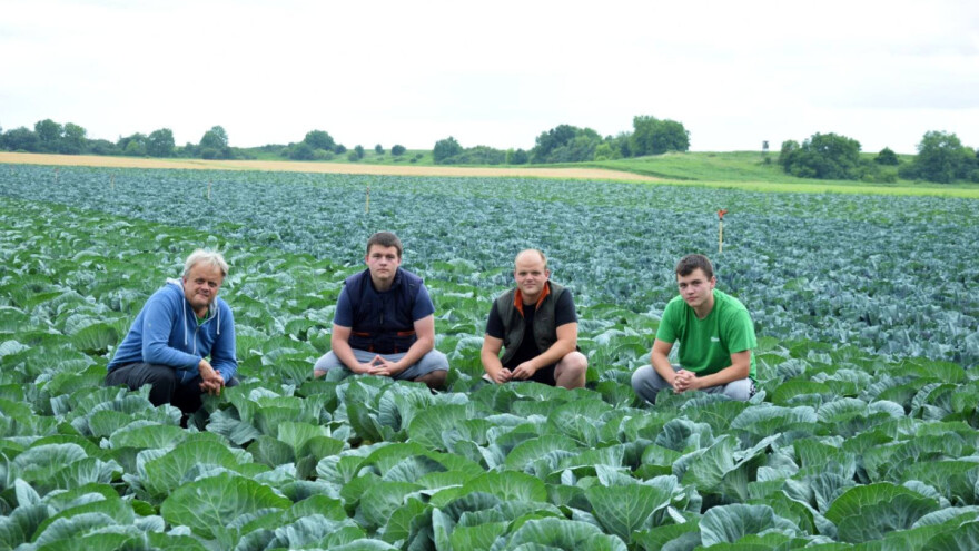 Ivan Puljić: Teška je godina za povrće