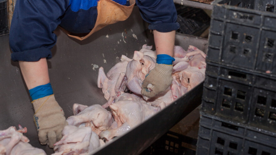 Pureća prsa sa salmonelom iz Kauflanda