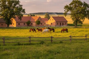 Pustara Višnjica najljepše slavonsko izletište