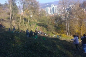 U Užicu će biti posečeno 18 hektara šume, a zasađeno 13.000 stabala