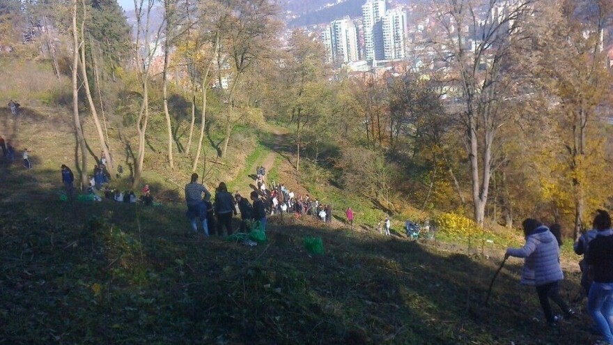 U Užicu će biti posečeno 18 hektara šume, a zasađeno 13.000 stabala