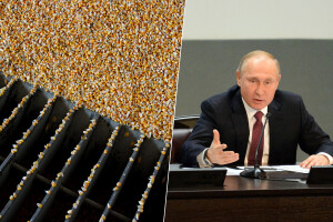 Rusija će kontrolirati izvoz žitarica? Putin: Gledajte što se događa u Europi