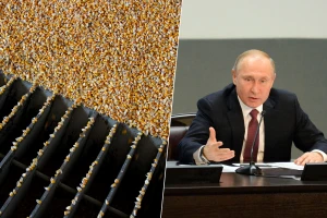 Rusija će kontrolisati izvoz žitarica? Putin: Gledajte šta se dešava u Evropi