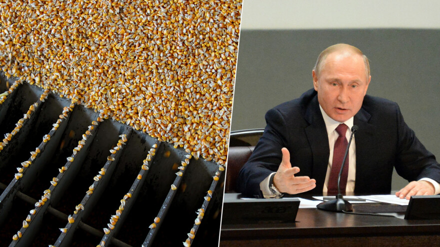 Rusija će kontrolisati izvoz žitarica? Putin: Gledajte šta se dešava u Evropi