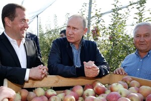 Putin i Medvedev posjetili voćnjak: Branit ćemo se fudžina jabukama