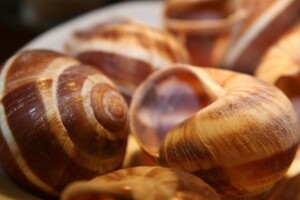 Koliko se isplati uzgajati puževe?