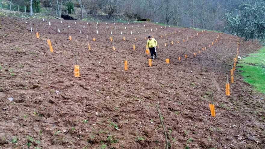 Kako zaštititi usjeve, voćnjake i stoku od divljači?