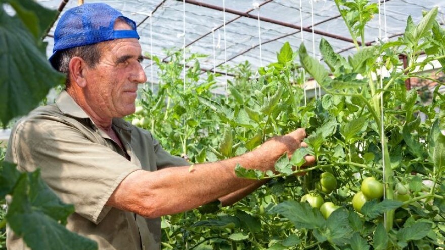 Udruživanje nije uvjet proizvodno vezanih potpora!