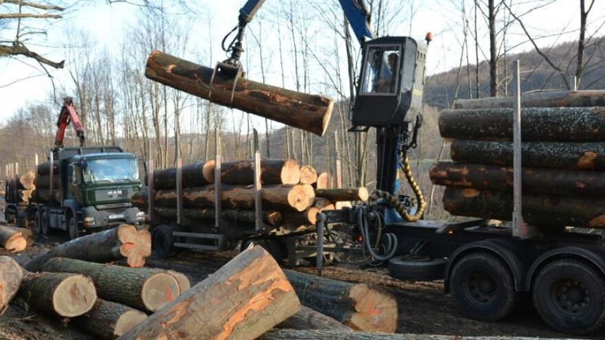 Predsjednik Uprave Hrvatskih šuma na jedan dan