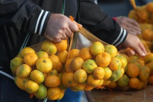 Željko Bjeliš: Tko kažnjava proizvođače mandarina?