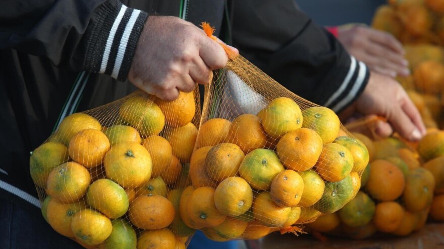 Željko Bjeliš: Tko kažnjava proizvođače mandarina?