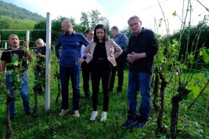 Stradalo gotovo 200 poljoprivrednih gospodarstava, pomoć stiže za dva mjeseca