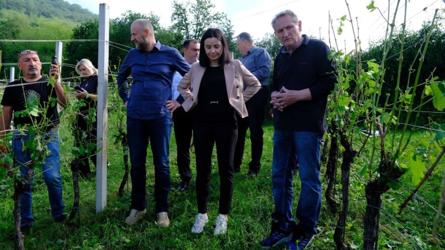 Stradalo gotovo 200 poljoprivrednih gospodarstava, pomoć stiže za dva mjeseca