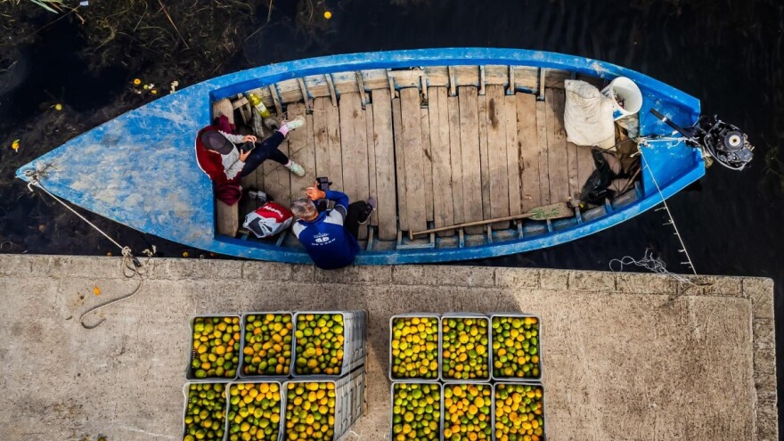 Urod mandarina prepolovljen, kvaliteta izvrsna - a otkupna cijena?
