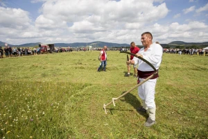 Kosci, vrijeme je da naoštrite alat - u Kupresu ponovo biraju kosbašu